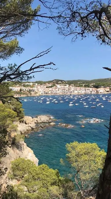 The Golden Oak In Calella Centre - 100M From Beach Palafrugell Apartamento